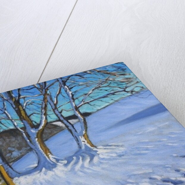 Gate and trees, Winter, Dam Lane, Derbyshire, 2013 by Andrew Macara