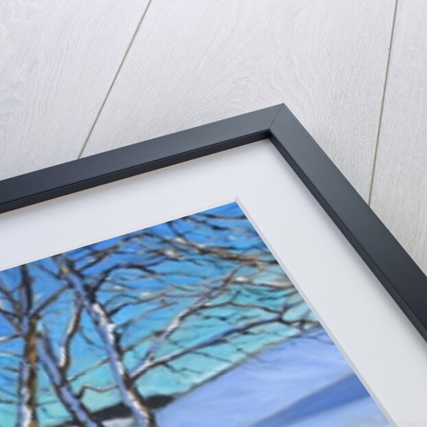 Gate and trees, Winter, Dam Lane, Derbyshire, 2013 by Andrew Macara