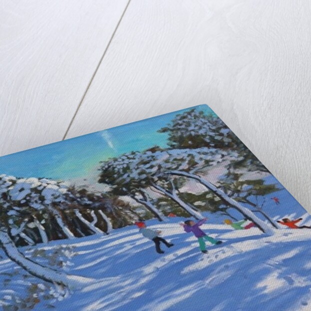 Winter, Ladmanlow, Derbyshire, 2013 by Andrew Macara