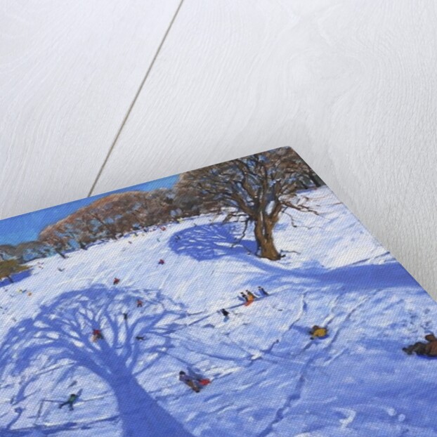 Chatsworth, winter tree shadows, 2013 by Andrew Macara