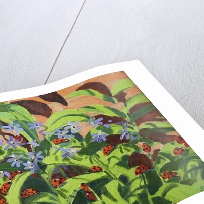 Ladybirds, 2013 by Andrew Macara