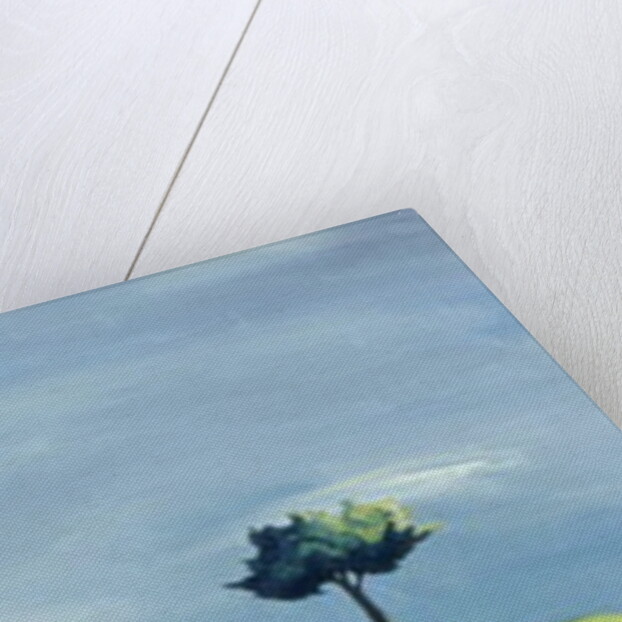 Poulton Fields by Ana Bianchi