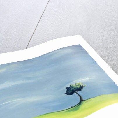 Poulton Fields by Ana Bianchi