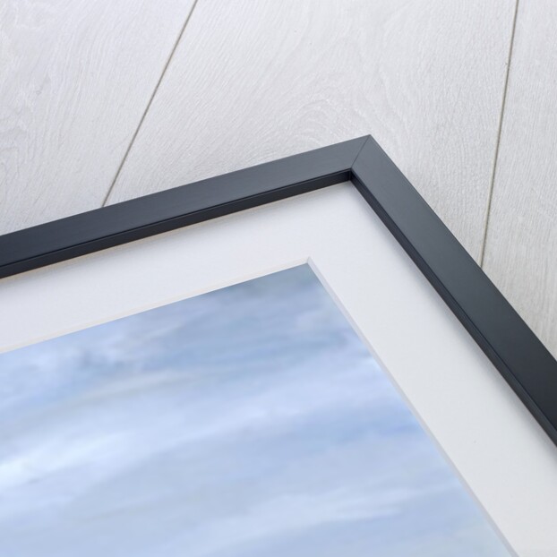 This Old House by Ana Bianchi