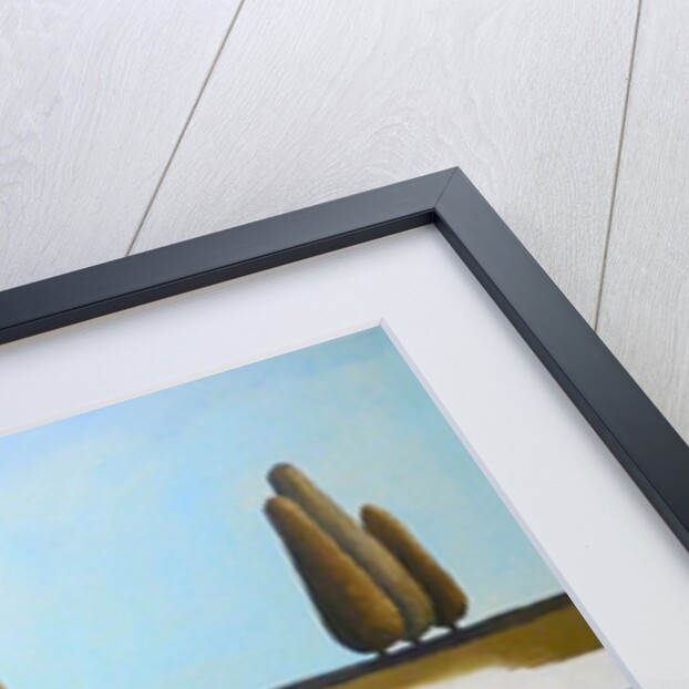 Cypress Trees, 2015 by Ana Bianchi