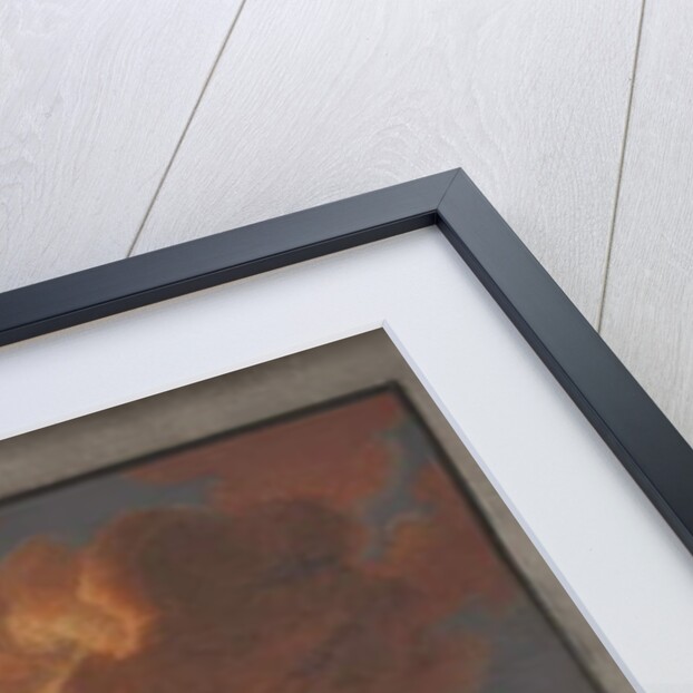 Plate VI from 'Campi Phlegraei: Observations of the Volcanoes of the two Sicilies' by William Hamilton, 1776 by Pietro Fabris