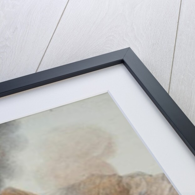 Plate X from 'Campi Phlegraei: Observations of the Volcanoes of the two Sicilies' by William Hamilton, 1776 by Pietro Fabris