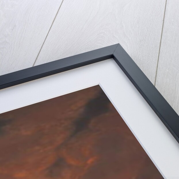 Plate XXXVIII from Campi Phlegraei: Observations of the Volcanoes of the two Sicilies by Pietro Fabris