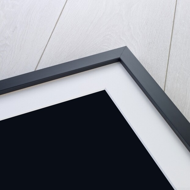 Bike Constellation, 2018 by Florent Bodart