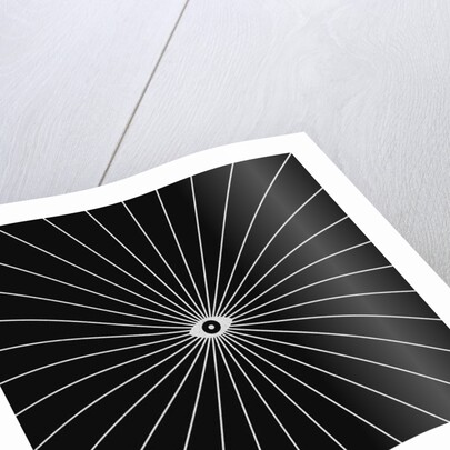 Big Brother 1, 2018 by Florent Bodart