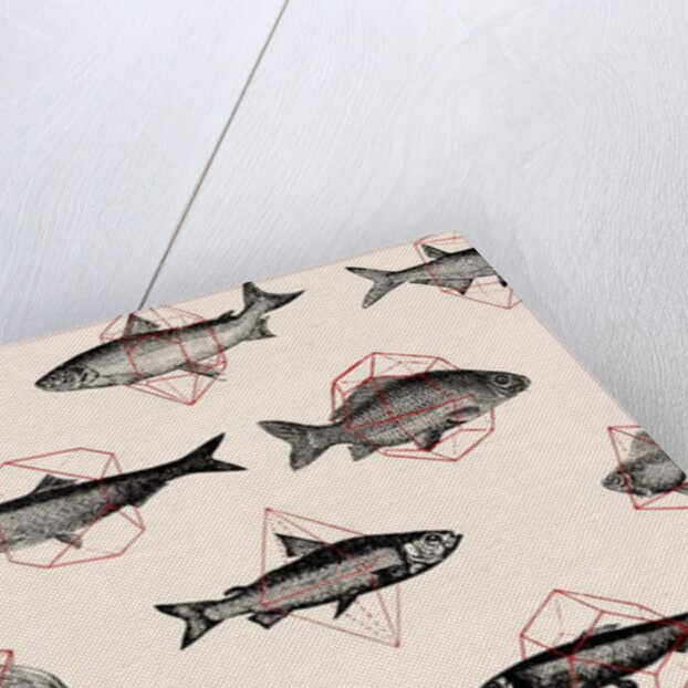 Fishes in Geometrics, 2016 by Florent Bodart