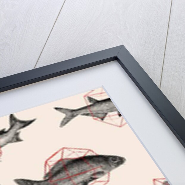 Fishes in Geometrics, 2016 by Florent Bodart