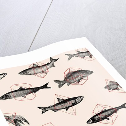 Fishes in Geometrics, 2016 by Florent Bodart