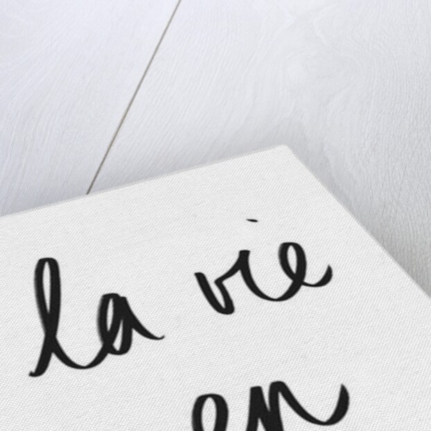 La vie en Rose, 2018 by Florent Bodart