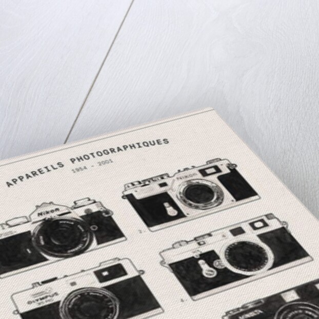 Cameras, 2018 by Florent Bodart