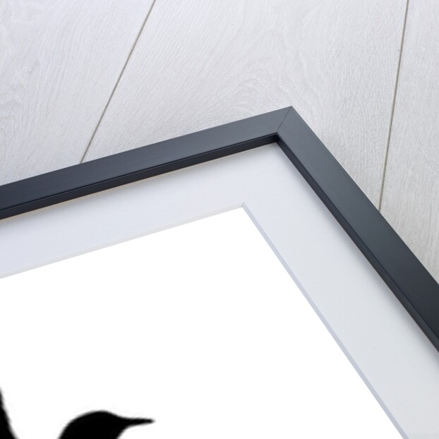 Bird Line Art, 2016 by Florent Bodart