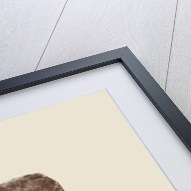 Cow Cow Nut, 2016 by Florent Bodart