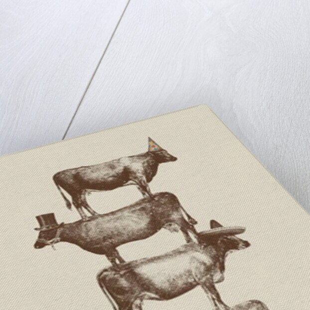 Cow Cow Nuts, 2016 by Florent Bodart