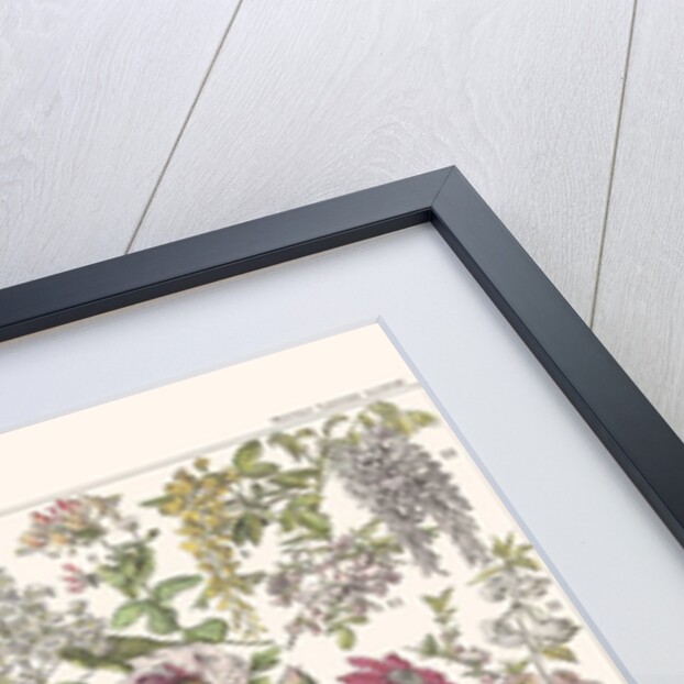 Fleurs II - ASTER EDITION, 2023 by Florent Bodart