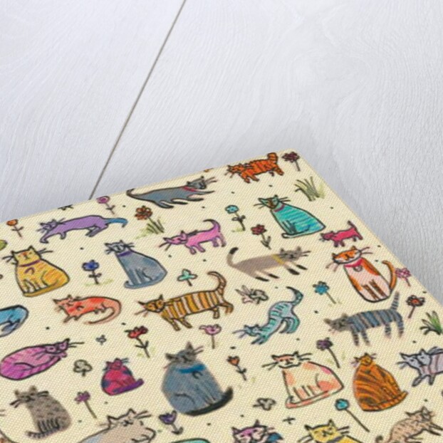 52 Cats, 2017 by Sarah Battle