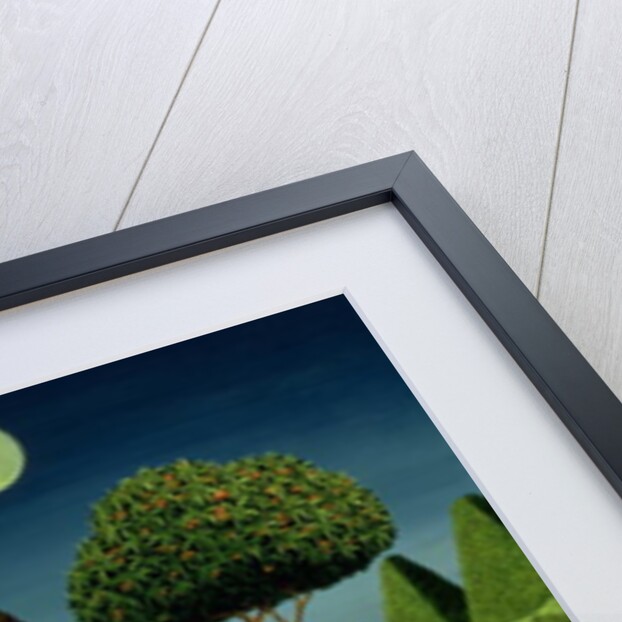 Moonlight Magician, 1979 by Anthony Southcombe