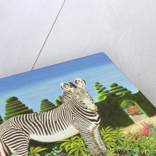 Zebra in a Garden, 1977 by Anthony Southcombe