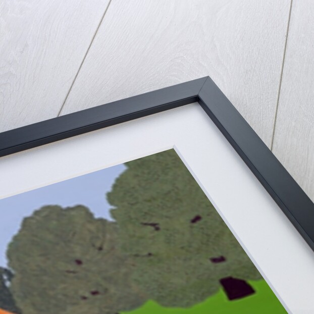 Cricket Match by Micaela Antohi