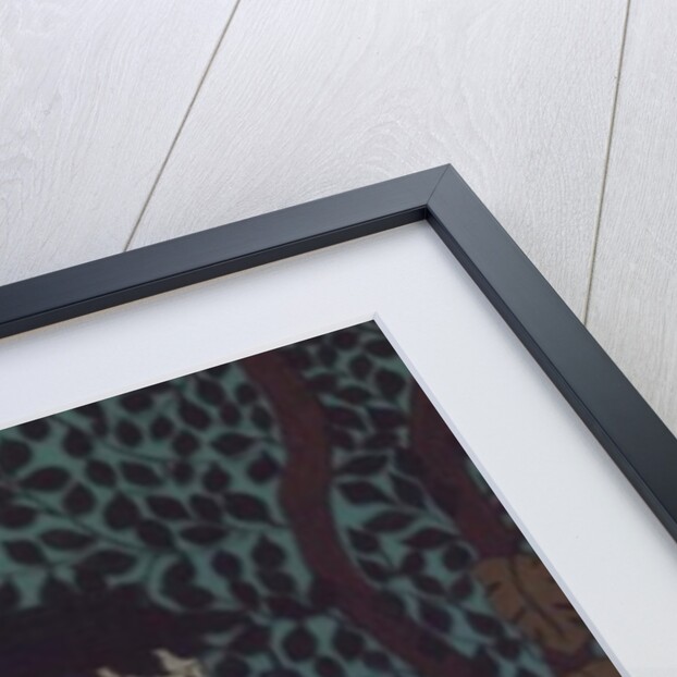 Hemingway's House, Key West, Florida by Micaela Antohi