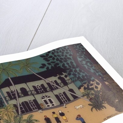 Hemingway's House, Key West, Florida by Micaela Antohi