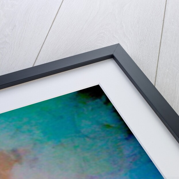 Car 1, 2010 by Barbara Hoogeweegen