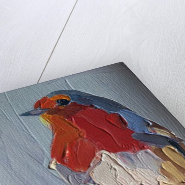 robin, 2016 by Barbara Hoogeweegen