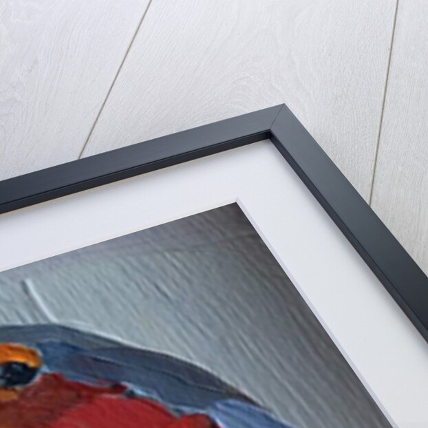 robin, 2016 by Barbara Hoogeweegen