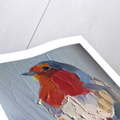 robin, 2016 by Barbara Hoogeweegen