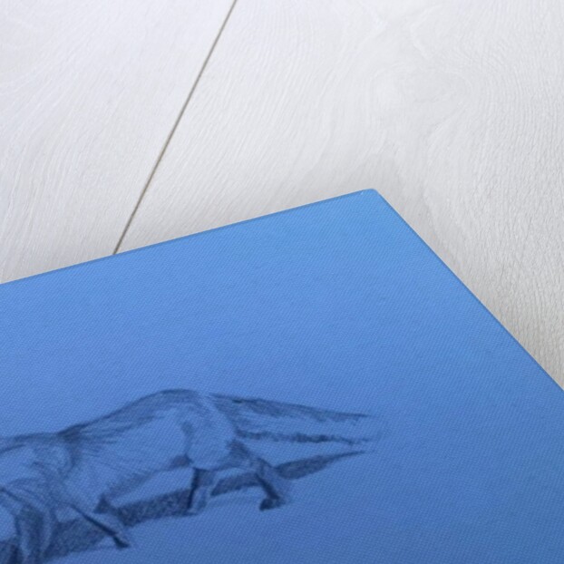 Fox, 2018 by Barbara Hoogeweegen