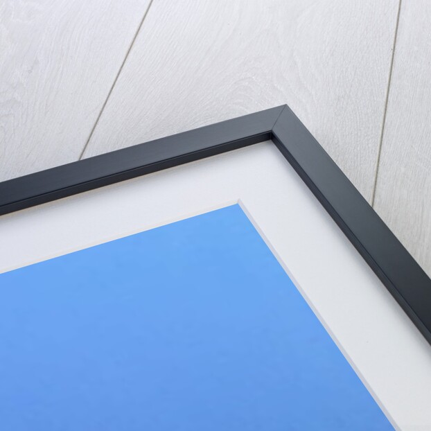 Fox, 2018 by Barbara Hoogeweegen