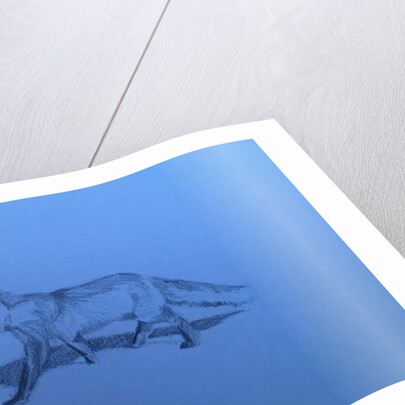 Fox, 2018 by Barbara Hoogeweegen