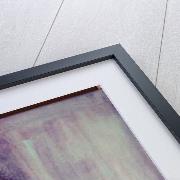 Harlequin, 2015 by Barbara Hoogeweegen