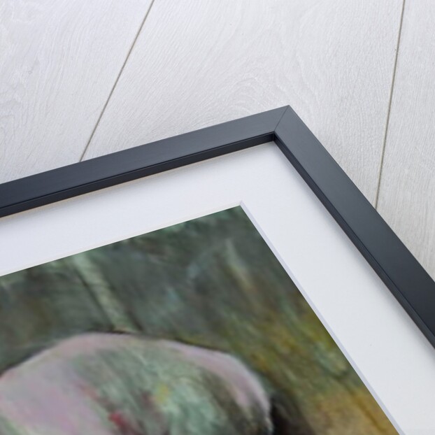 Morpheus in January, 2013 by Sheri Gee