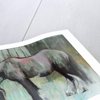 Morpheus in January, 2013 by Sheri Gee