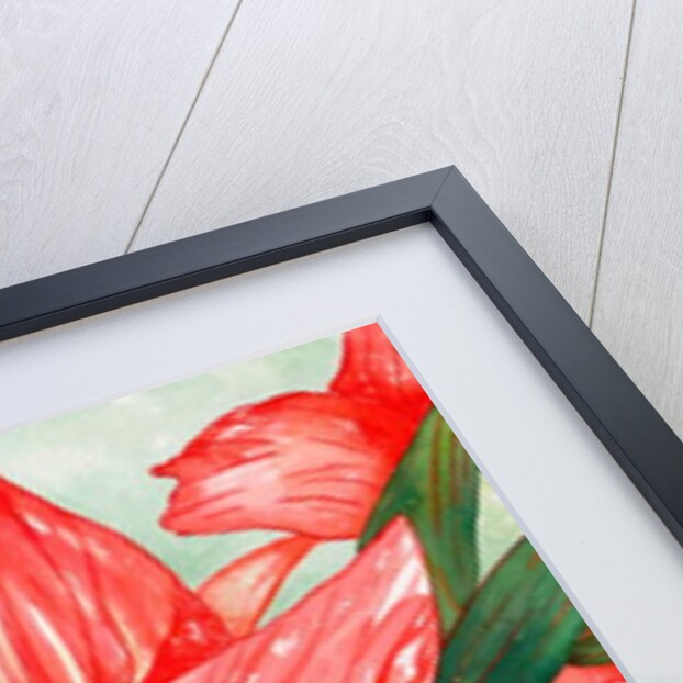 Amaryllis, 2005 by Deborah Eve Alastra