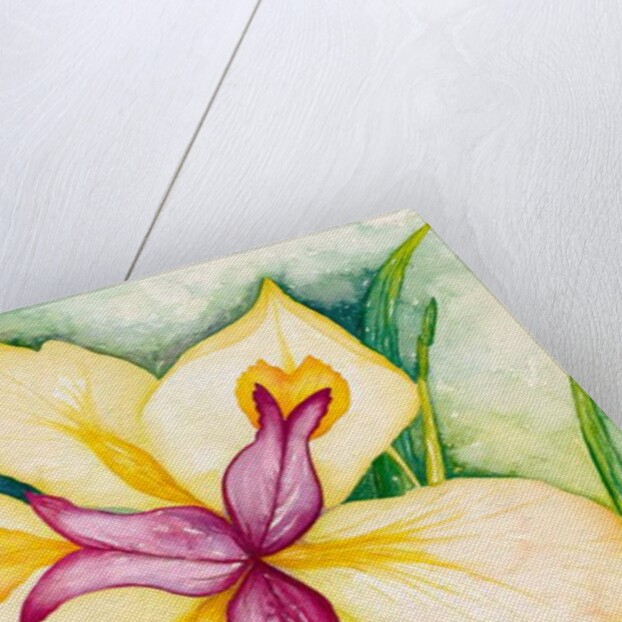 Lily and Friends, 2007 by Deborah Eve Alastra