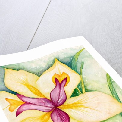 Lily and Friends, 2007 by Deborah Eve Alastra