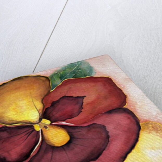 Pansey, 2007 by Deborah Eve Alastra