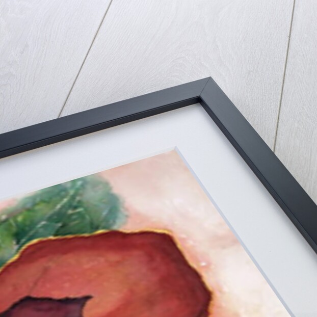 Pansey, 2007 by Deborah Eve Alastra