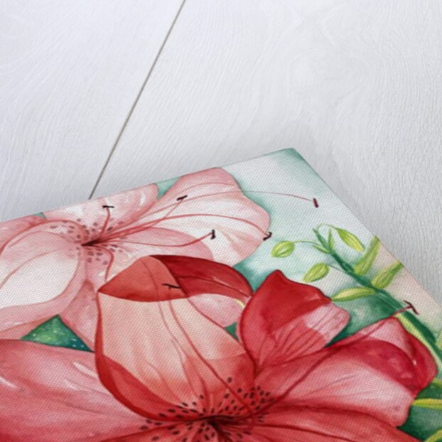 Tigerlily, 2007 by Deborah Eve Alastra