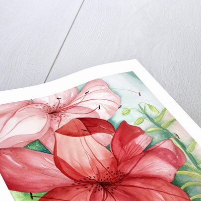 Tigerlily, 2007 by Deborah Eve Alastra