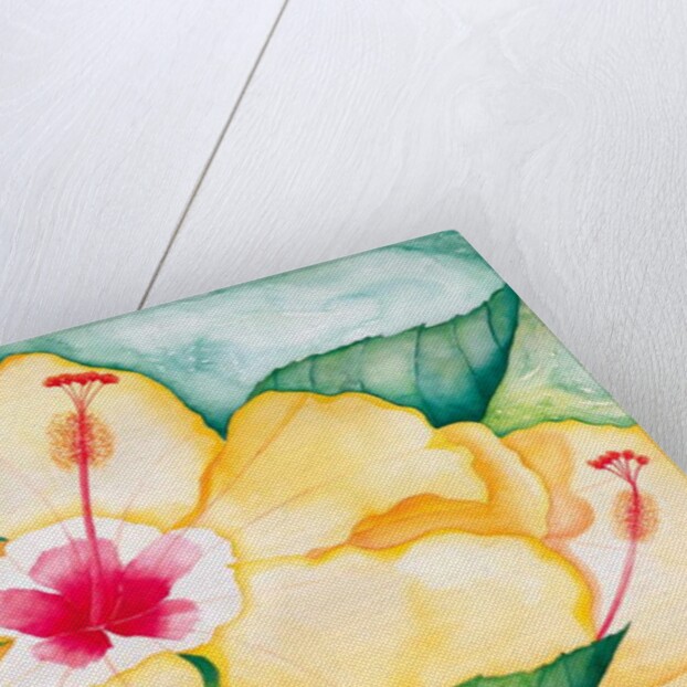 Yellow Hibiscus, 2006 by Deborah Eve Alastra