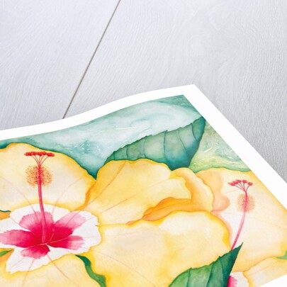 Yellow Hibiscus, 2006 by Deborah Eve Alastra