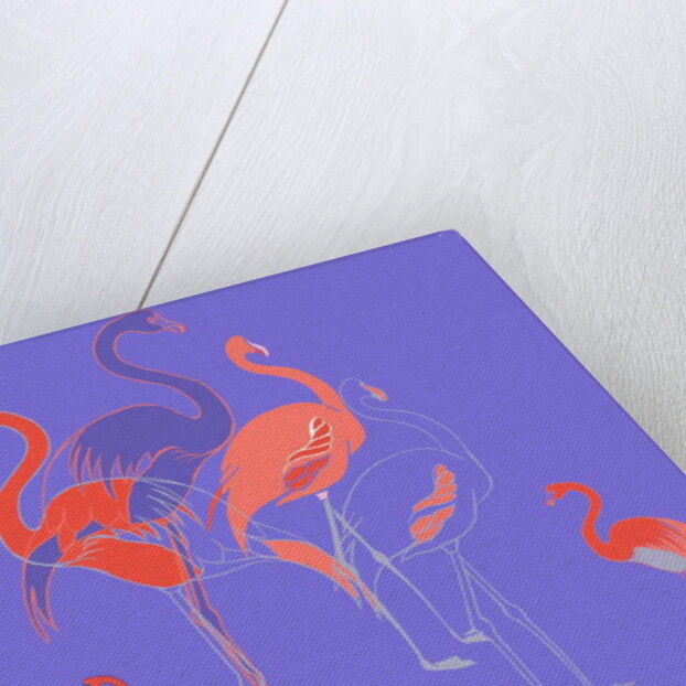 Flamingoes by Anna Platts