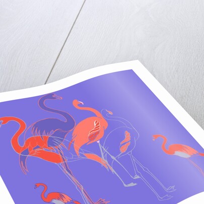 Flamingoes by Anna Platts